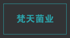 食品行业建湖工作服设计款式